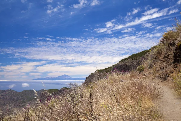 Gran Canaria – střední hory — Stock fotografie